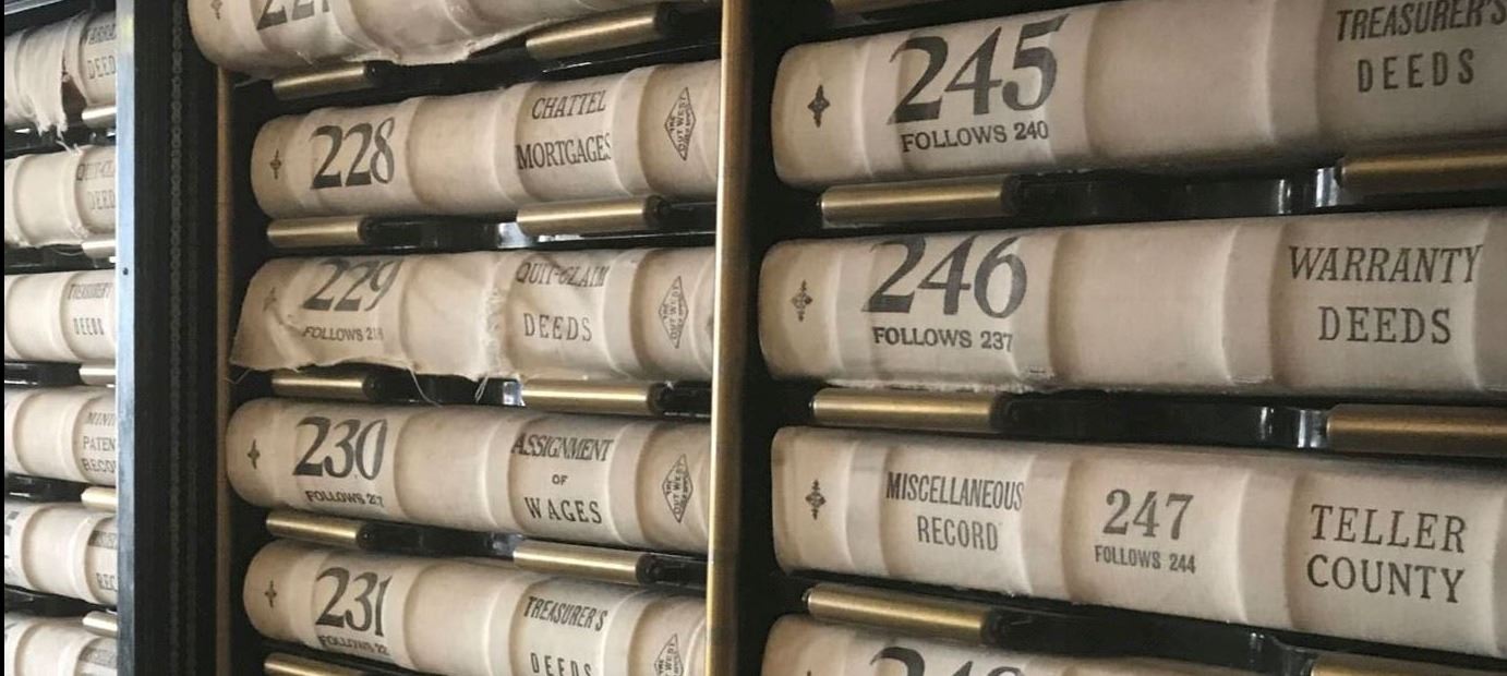 graphic image of a bookcase with books